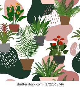 Houseplants pattern. Homemade exotic flowers in pots. Tropical plants in pots.