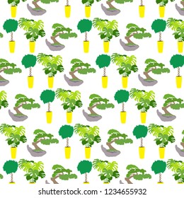 Houseplants pattern monstera  and
bonsai