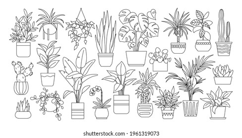 Houseplants. Plant outline drawing vector set, succulents in pots. Indoor exotic flowers with stems and leaves. Monstera, ficus, pothos, yucca, dracaena, cacti, snake plant for home and interior