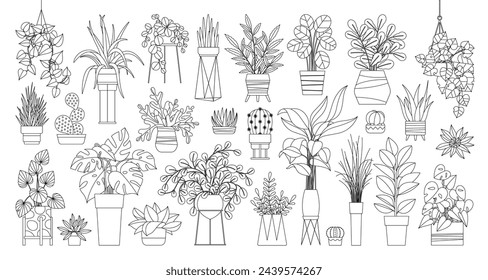 Houseplants. Plant outline drawing vector set, succulents in pots. Indoor exotic flowers with stems and leaves. Monstera, ficus, pothos, yucca, dracaena, cacti, snake plant for home and interior