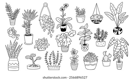 Houseplants. Plant outline drawing vector set, succulents in pots. Set of plant in pot hand drawn vector illustrations house plant, home decoration