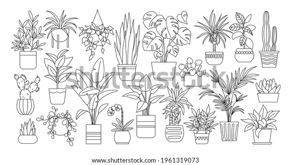 Houseplants. Plant outline drawing vector set,\
succulents in pots. Indoor exotic flowers with stems and leaves.\
Monstera, ficus, pothos, yucca, dracaena, cacti, snake plant for\
home and interior