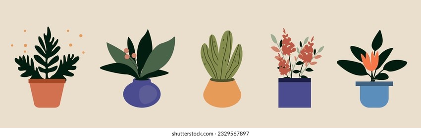 Houseplants in pot isolated. Trendy hugge style, urban decor. Hand drawn. Set collection.