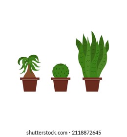 Houseplants in pots. Flat illustration.