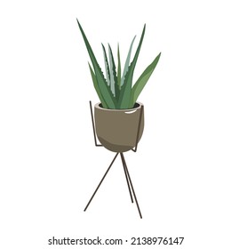  Houseplants in pots with green leaves. Interior indoor plants. Flat vector illustration isolated on white background for home and office use.