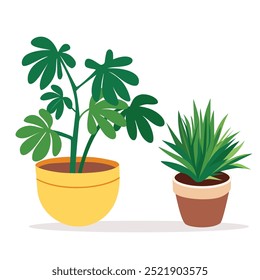 Plantas de la casa en macetas aisladas sobre fondo blanco. Plantas interiores lindas, juego de Vector plano. Ilustración vectorial.