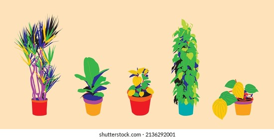 Houseplants in pots isolated vector set. Trendy popular plants, urban jungle decor. Hand drawn. Plant vectors pop art colors. Bright color plants. Ferns, fig tree, snake plant. Yellow, green, red.