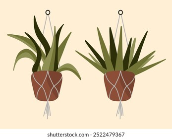 Plantas de casa en macetas y redes sobre un fondo beige. Hojas delgadas. Interior. Ilustración vectorial