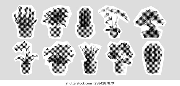 Houseplants in pots to remove CO2 from air. Growing home flowers and cacti to decorate interior. Houseplants from greenhouse made from dots of different sizes. Violet and aloe near bonsai plant