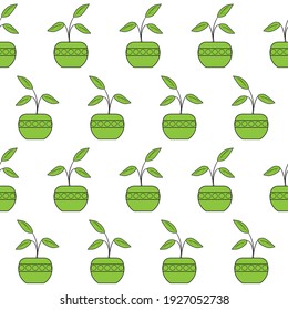 Houseplants in pots. Seamless pattern. Creative flower shop decoration design or flower wrapping paper design. Vector