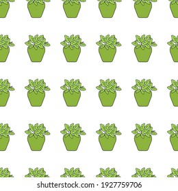 Houseplants in pots. Seamless pattern. Creative flower shop decoration design or flower wrapping paper design. Vector