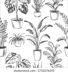 Houseplants in pots seamless vector pattern. Monstera, ficus, strelitzia, zamioculcas, sansevieria, chlorophytum hand-drawn in ink.