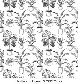 Houseplants in pots seamless vector pattern. Monstera, ficus, strelitzia, zamioculcas, sansevieria, chlorophytum hand-drawn in ink.