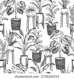 Houseplants in pots seamless vector pattern. Monstera, ficus, strelitzia, zamioculcas, sansevieria, chlorophytum hand-drawn in ink.