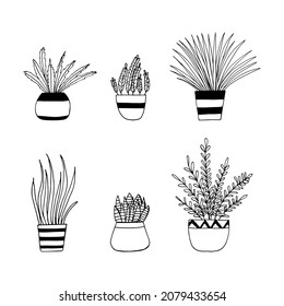 houseplants in pots set icon hand drawn. vector, minimalism, scandinavian, monochrome, nordic. sticker, plant, flowers.