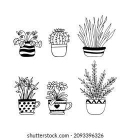 houseplants in pots set icon hand drawn. vector, minimalism, scandinavian, monochrome, nordic. sticker, flowers