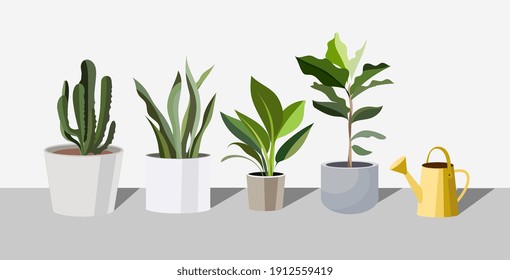 Houseplants in pots. Vector illustration. 