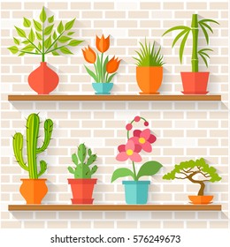 Houseplants and potted flowers on shelves. Greenhouse on the background of brick wall. Vector illustration in flat style.