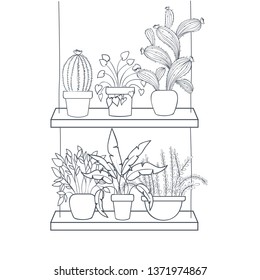 houseplants with potted on shelf isolated icon