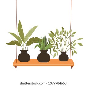 houseplants with potted on shelf isolated icon