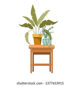 houseplants with potted on the table