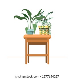 houseplants with potted on the table