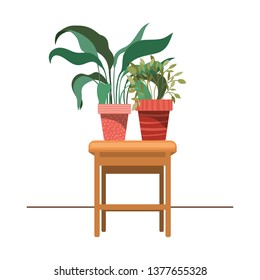 houseplants with potted on the table