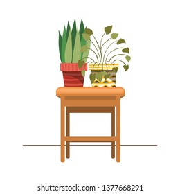 houseplants with potted on the table