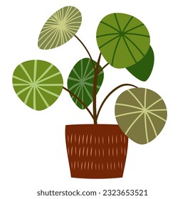 houseplants Potted plants for home, urban jungle decor. Modern vector illustration isolated on white background, hand drawn, flat design