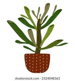  houseplants Potted plants for home, urban jungle decor. Modern vector illustration isolated on white background, hand drawn, flat design