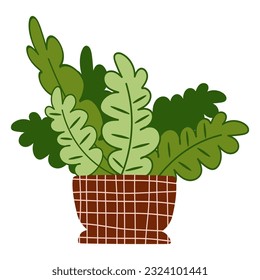 houseplants Potted plants for home, urban jungle decor. Modern vector illustration isolated on white background, hand drawn, flat design