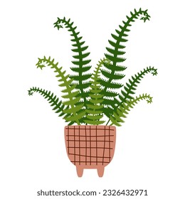 houseplants Potted plants for home, urban jungle decor. Modern vector illustration isolated on white background, hand drawn, flat design