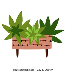 houseplants Potted plants for home, urban jungle decor. Modern vector illustration isolated on white background, hand drawn, flat design