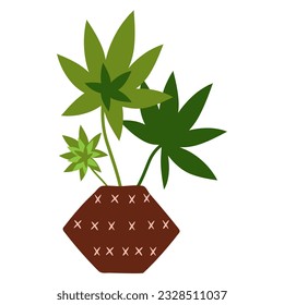  houseplants Potted plants for home, urban jungle decor. Modern vector illustration isolated on white background, hand drawn, flat design