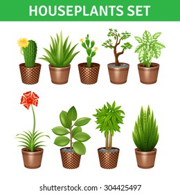 Houseplants realistic icons set with cactus flowers and pots isolated vector illustration 