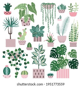 Houseplants set of cacti and succulents in pink flowerpots with geometric ornaments. Indoor gardening, popular decorative home flower collection. Monstera, ficus, cactus, fern and ivy in hanging pot.