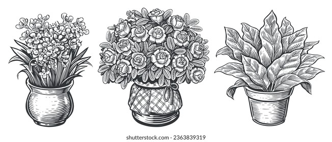 Hogares decorados con esculturas. Esbozo de plantas interiores. Flores en la olla. Ilustración vectorial vintage