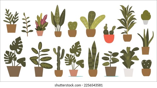 Houseplants set. Evergreen exotic decor house plant, succulents in pot. Indoor flowers with stems and leaves. Potted monstera, ficus, cacti plant for home and interior. Vector illustration