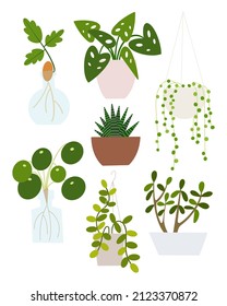 Houseplants set in flowerpots. Flat hand drawn foliage plants for modern office or home decor illustration. Cute green flower for urban jungle garden.