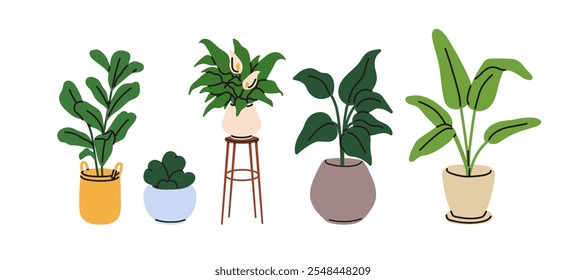 Plantas domésticas. Plantas de folha verde em vasos. Verde interior crescendo em plantadores. Elegante decoração natural de casa e escritório com folhas. Ilustração de vetor plano isolada no plano de fundo branco