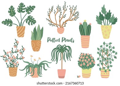 Houseplants set. Hand drawn flat vector illustrations of house plants isolated on white.  Potted plants clipart. 
