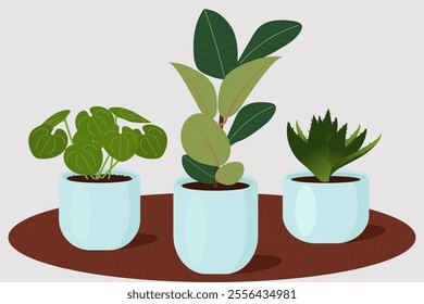 Houseplants. Set of house plants on the table. Flat vector illustrations.