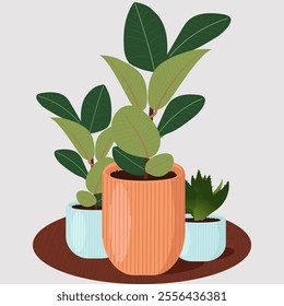 Houseplants. Set of house plants in pots on the table. Flat vector illustrations.