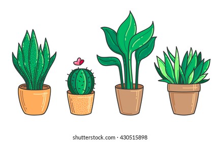 Houseplants set. Vector illustration