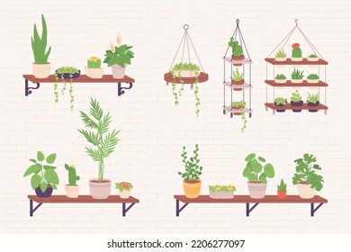 Houseplants shelves. Succulent houseplant stands shelf or hanging flowerpots, planter house decorative flower, nature plant indoor green scandinavian office vector illustration of succulent houseplant