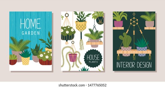 Houseplants shop flat banner vector templates set. Home garden, house interior design store advertising poster layout. Natural flowers sale business. Decorative plants illustration with typography