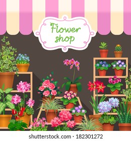 Houseplants in show-window of flower shop. Vector illustration 