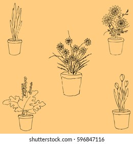 Houseplants. Sketch by hand. Pencil drawing by hand. Vector image. The image is thin lines. Vintage colors