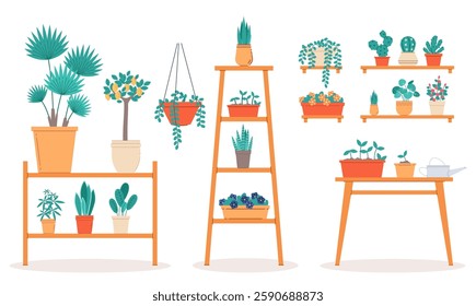 Houseplants stand shelves and tables. Different types houseplants. Indoor trees and palms. Monstera and cactus. Succulents and tropical flora. Cartoon flat style isolated vector concept