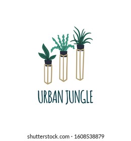 Houseplants standing interior decoration element. Boho scandinavian modern style interior design elements. Hand drawn cartoon flat style vector illustration